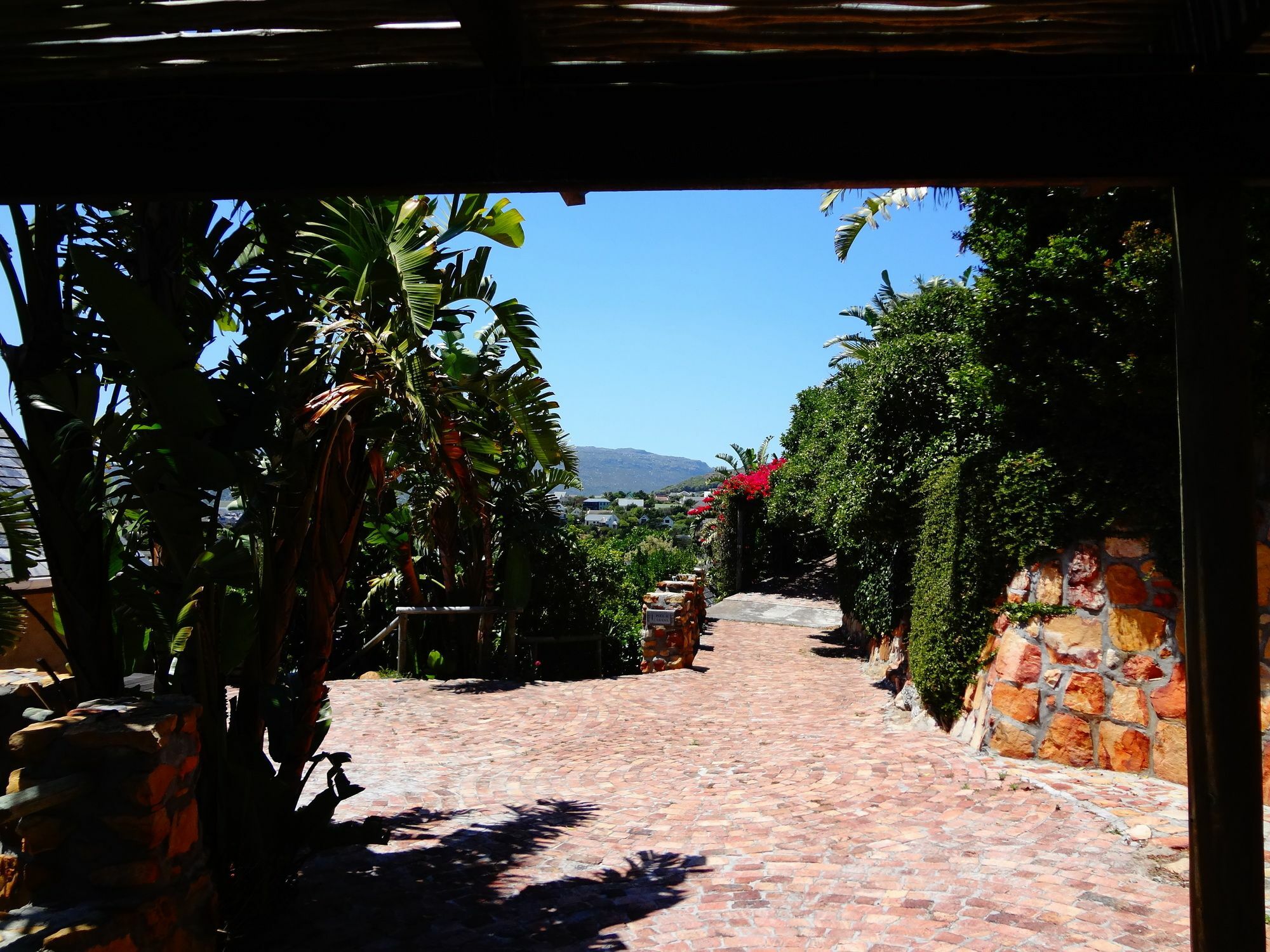 African Violet Guest Appartement Noordhoek